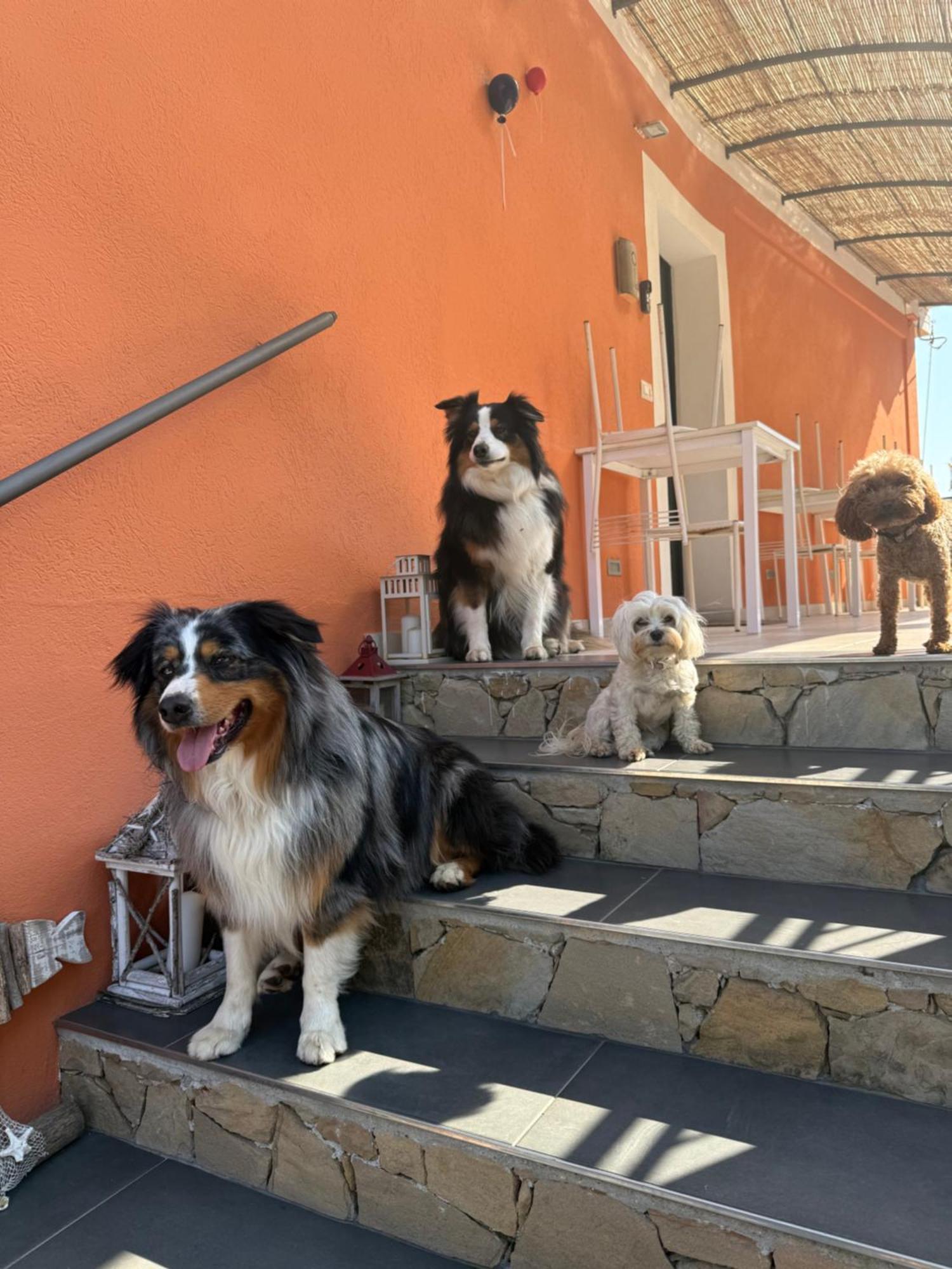 ונטימיגליה Agriturismo Un Mare Di Fiori מראה חיצוני תמונה