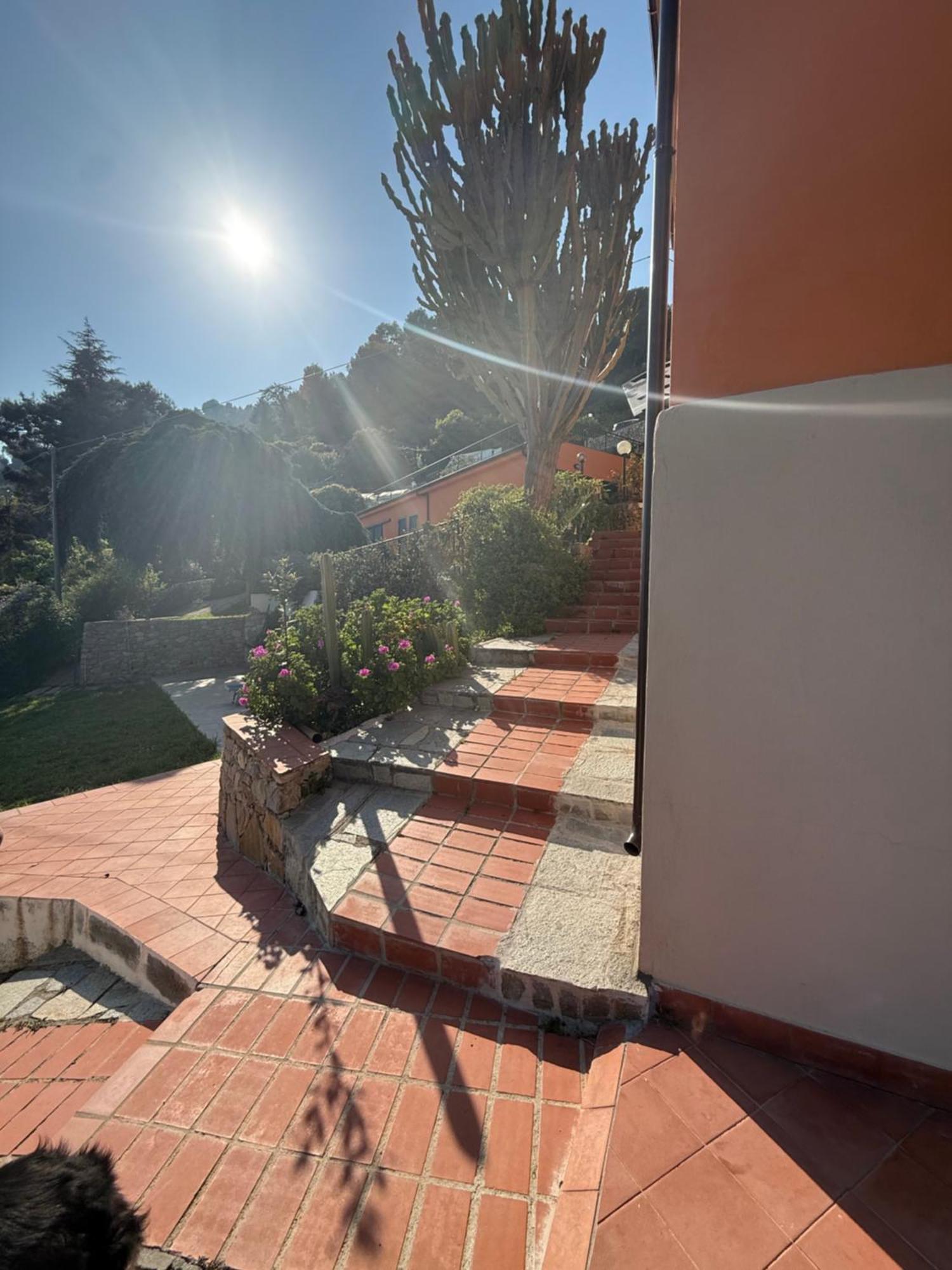ונטימיגליה Agriturismo Un Mare Di Fiori מראה חיצוני תמונה