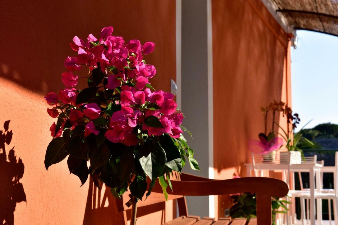 ונטימיגליה Agriturismo Un Mare Di Fiori מראה חיצוני תמונה